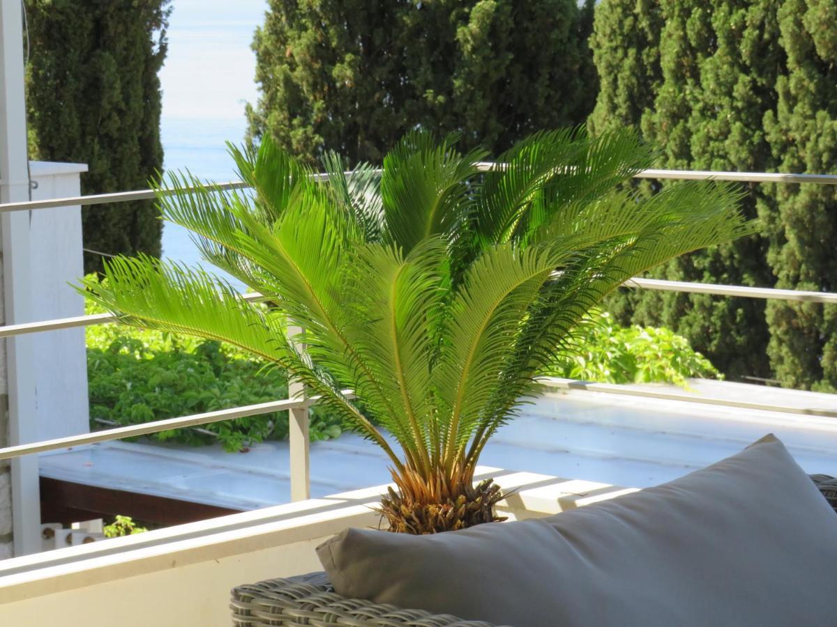 Villa King Dubrovnik Dış mekan fotoğraf